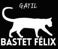 Gatil Bastet Felix